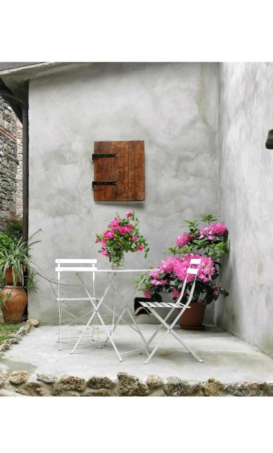 Casa Vacanze Al Colletto - Con Terrazza Panoramica In Centro Storico Vagli di Sotto Ngoại thất bức ảnh