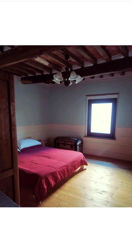 Casa Vacanze Al Colletto - Con Terrazza Panoramica In Centro Storico Vagli di Sotto Ngoại thất bức ảnh