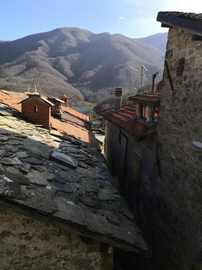 Casa Vacanze Al Colletto - Con Terrazza Panoramica In Centro Storico Vagli di Sotto Ngoại thất bức ảnh